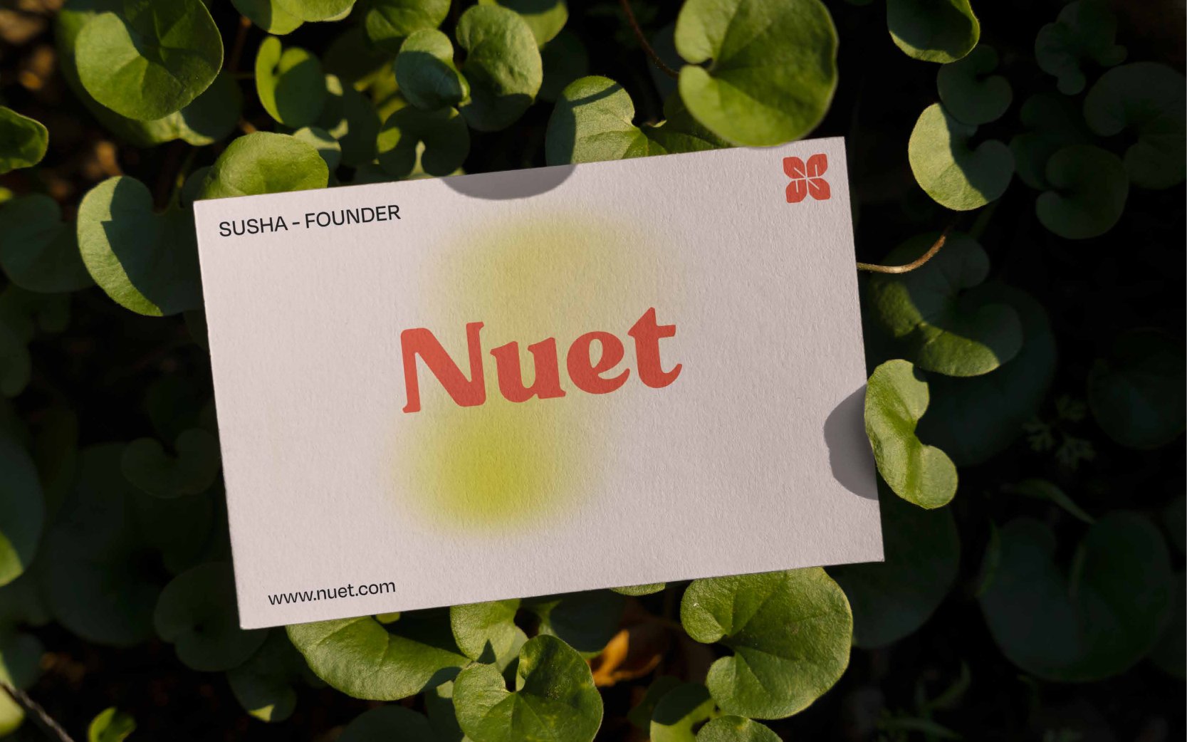 Nuet founder card resting on green leaves